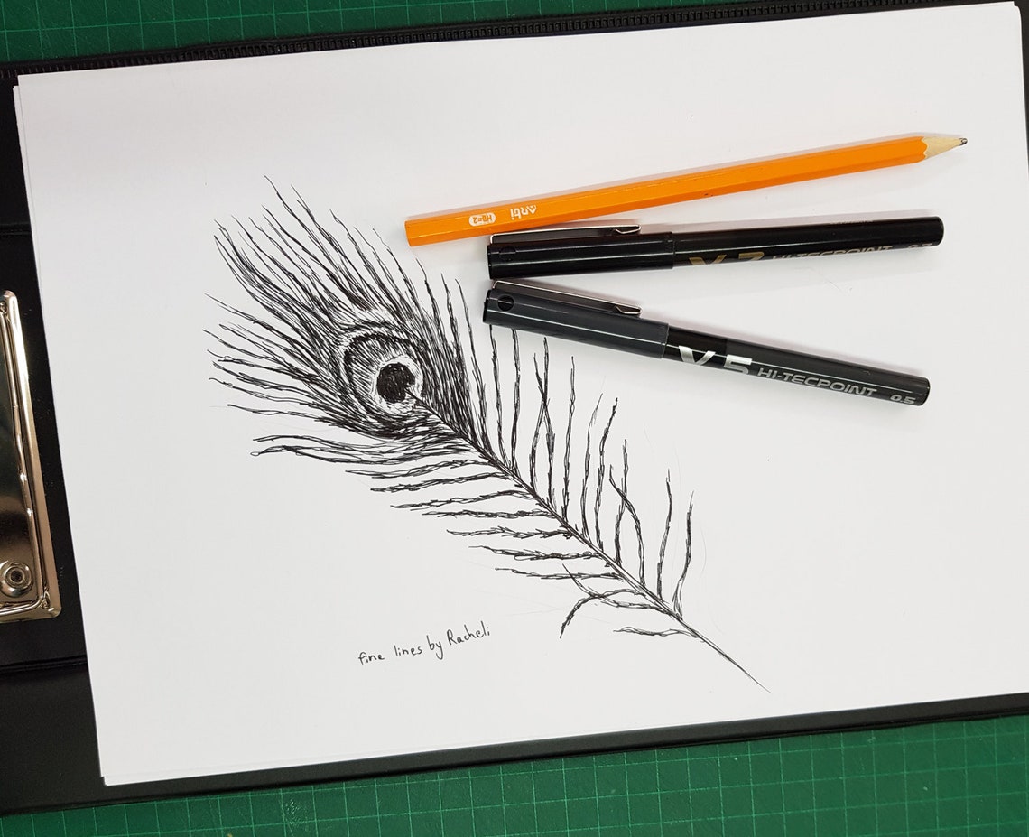 Feather Trio Black And White Botanical Line Illustration Poster - Image 2