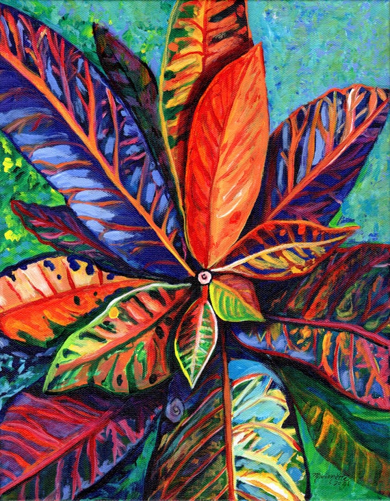 Rainbow Croton Art Print, Kauai Hawaii