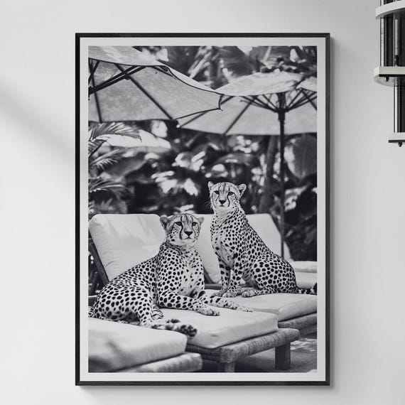 Cheetah by Pool Black and White Art Print