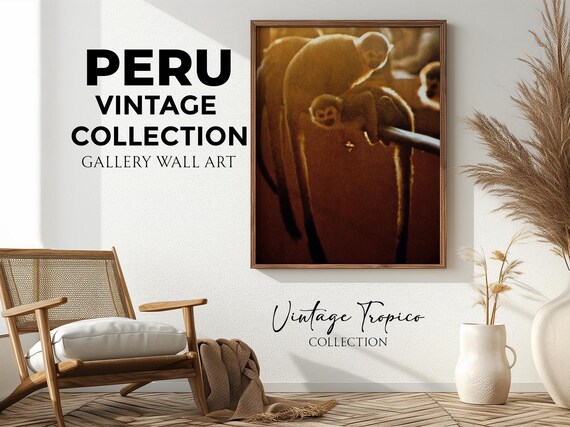 Peru Amazon Squirrel Monkeys Branch Golden Hour Wildlife Vintage Poster