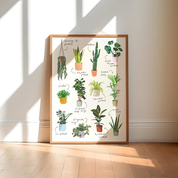 Botanical Houseplant Illustration Art Print