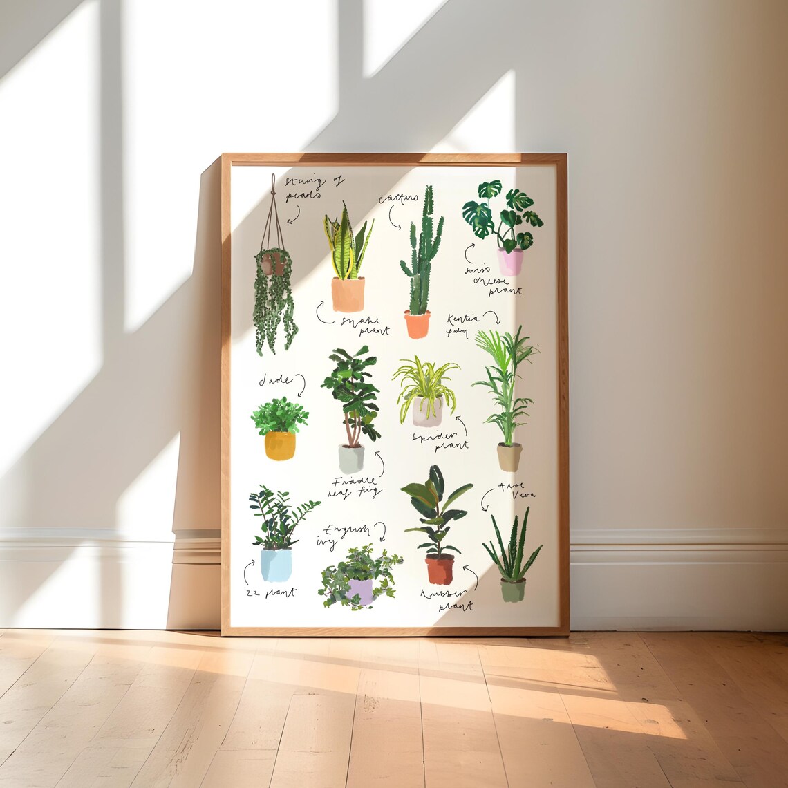 Botanical Houseplant Illustration Art Print