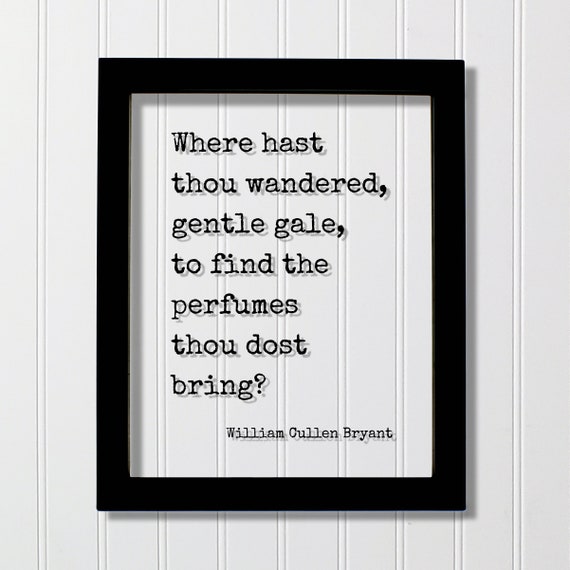William Cullen Bryant Quote Where Hast Thou Wandered Gentle Gale To Find The Perfumes Dost Bring Nature Wilderness Hiking Camping