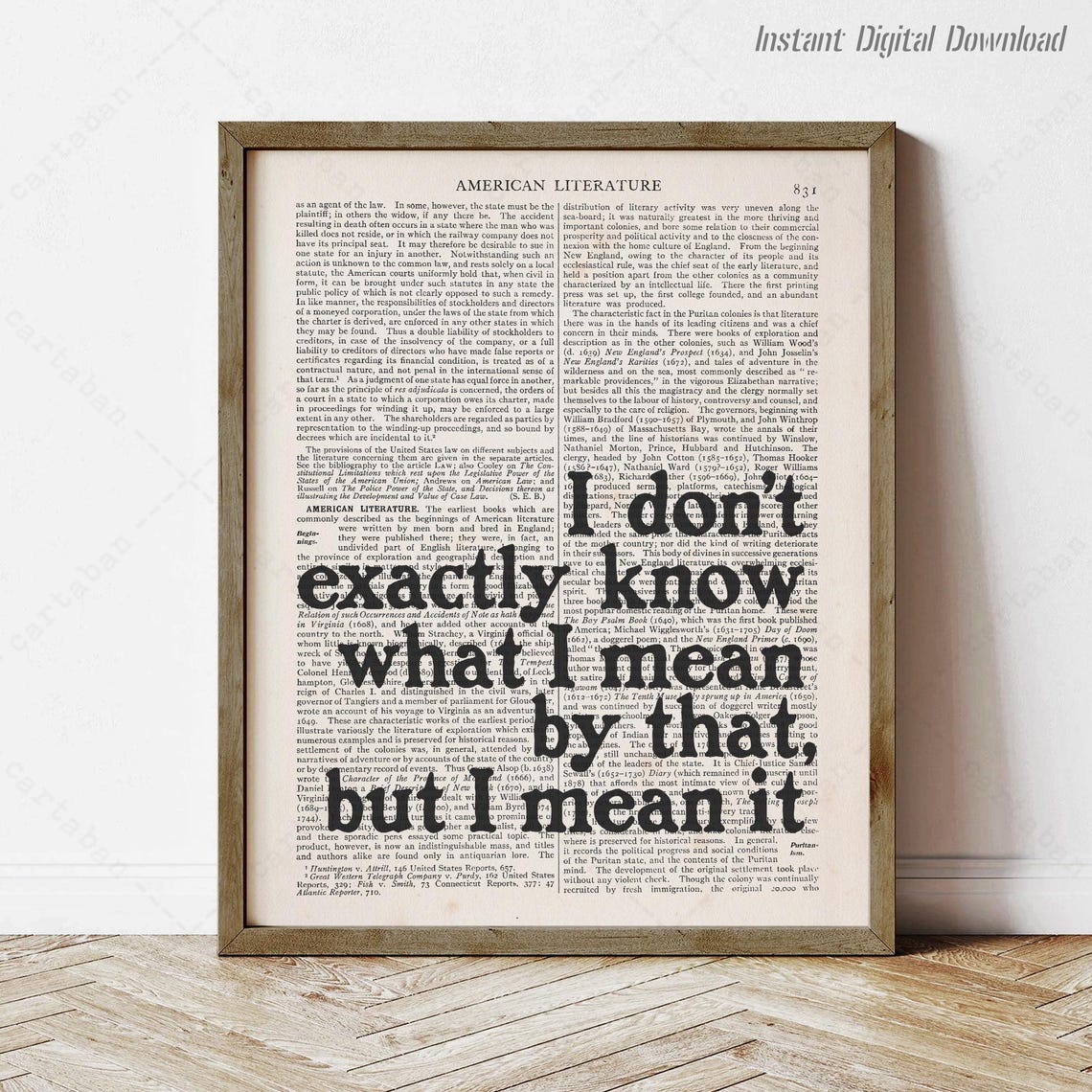 J D Salinger I Dont Exactly Know What I Mean Dictionary Quote Print