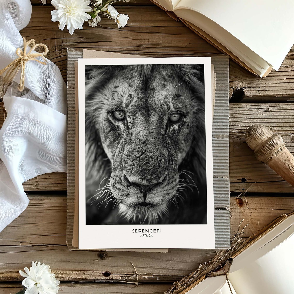 Serengeti Lion Black and White Close Up Portrait Africa Poster