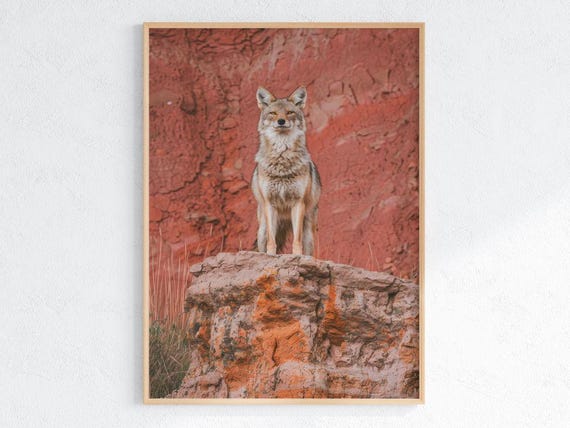 Coyote Wall Art Rustic Western Wildlife Print Desert Animal Poster Red Rock Canyon Artwork Southwestern Wilderness Decor For Home