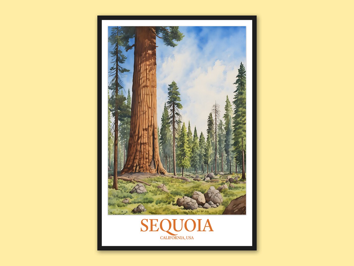 Sequoia National Park Redwood Forest Meadow Watercolor Travel Poster