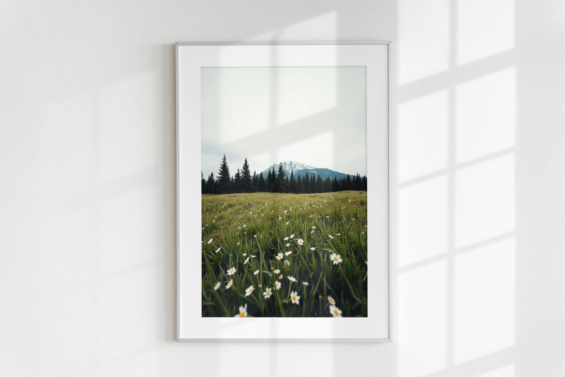 Wildflower Meadow Daisy Field Snow Capped Mountain Pine Forest Poster - Image 6