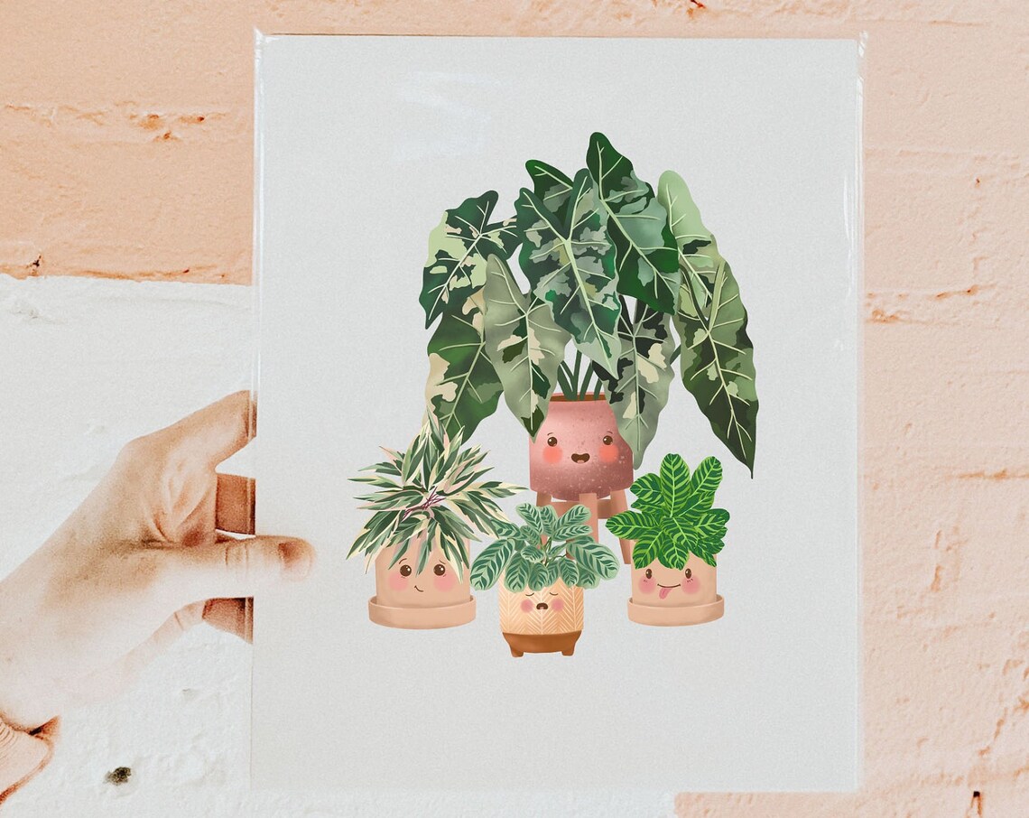 Variegated Alocasia And Calathea Cute Plant Friends Group Poster