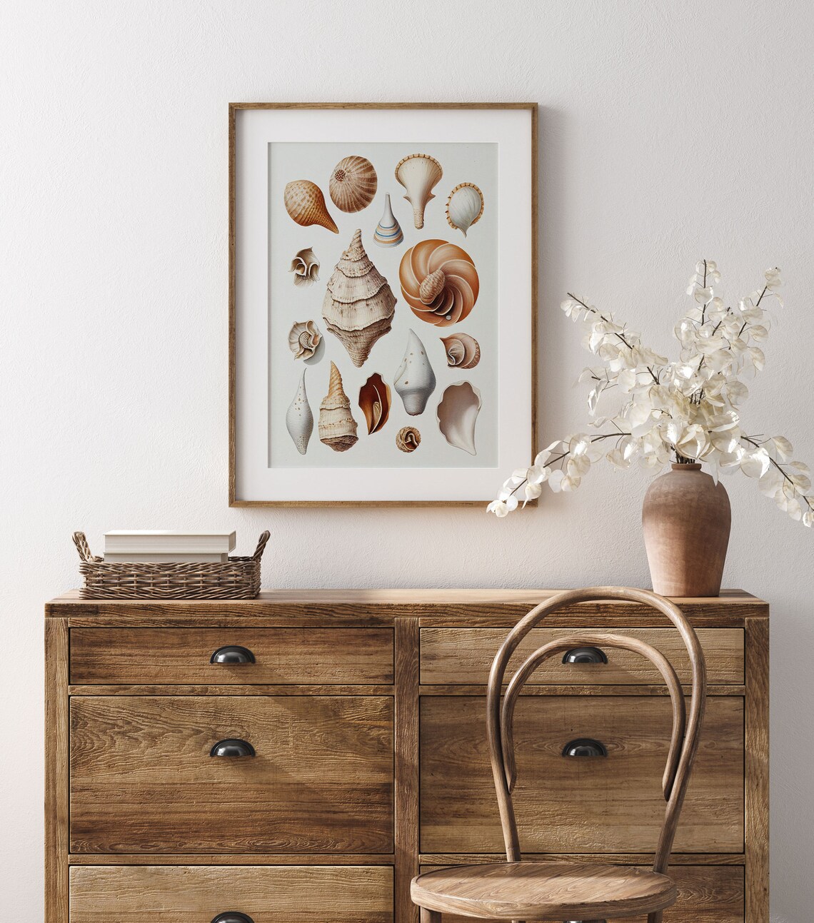 Vintage Seashell Illustration Chart Nautical Coastal Shell Beach House Poster - Image 3