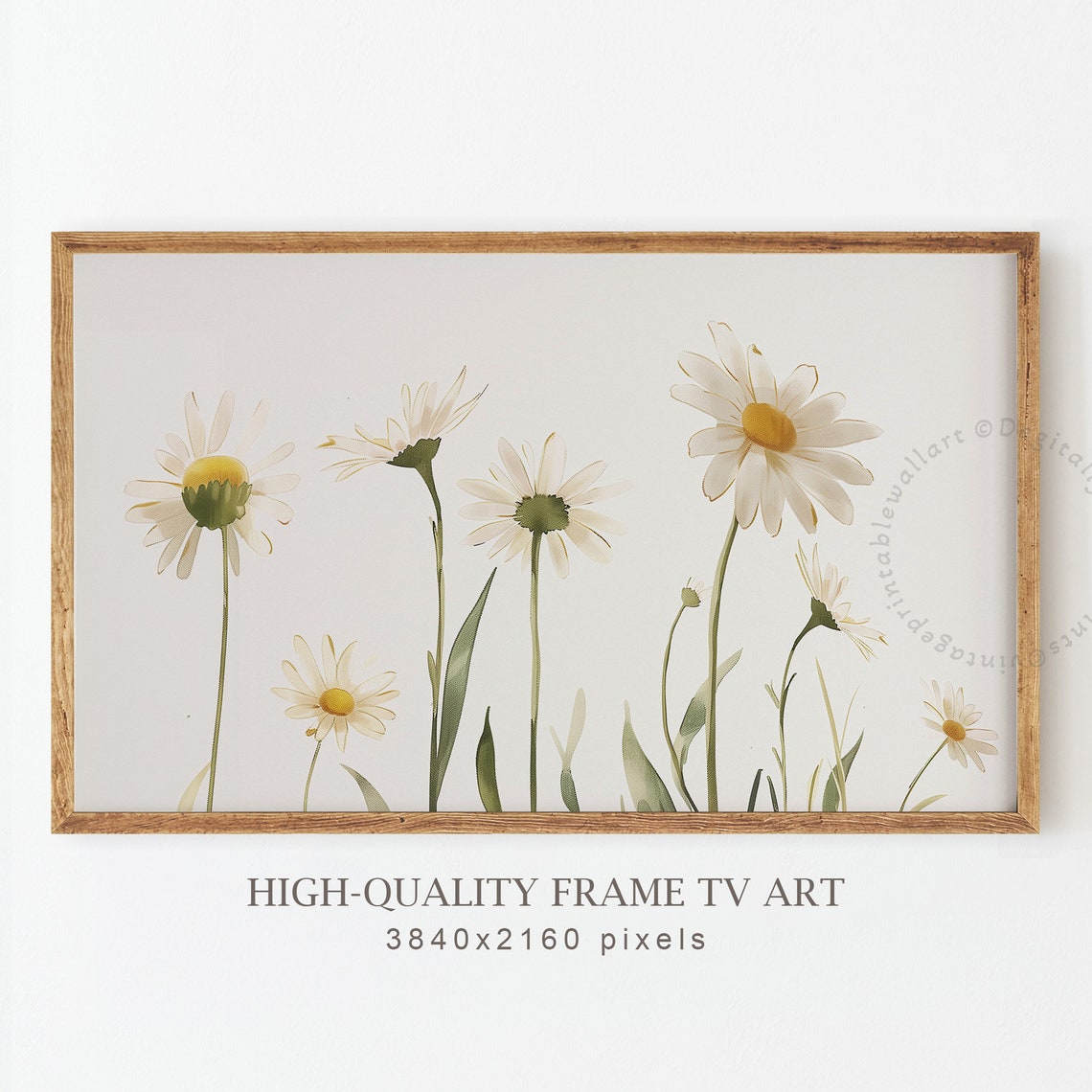 White Daisy Wildflowers Watercolor Delicate Minimalist Floral Poster - Image 3