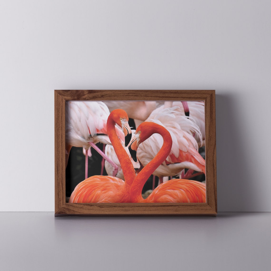 Pink Flamingos Heart Necks Tropical Bird Photo Poster Wall Decor - Image 2