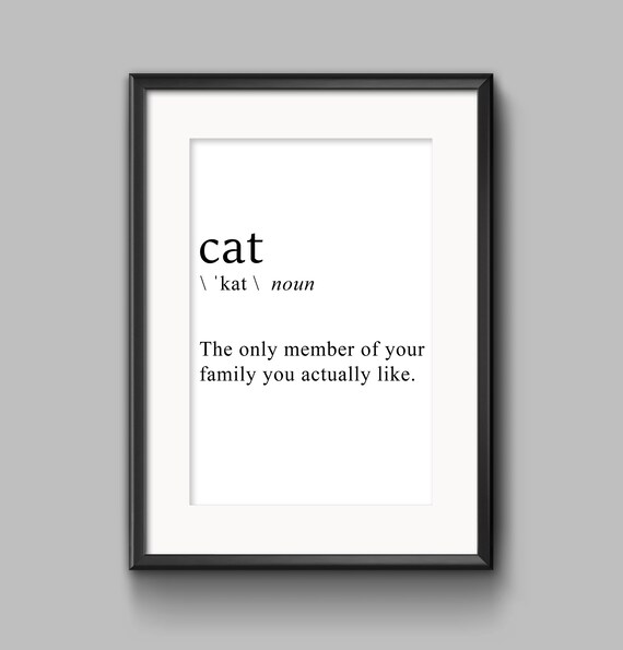 Cat Definition Noun Funny Cat Lover Gift Dictionary Style Poster