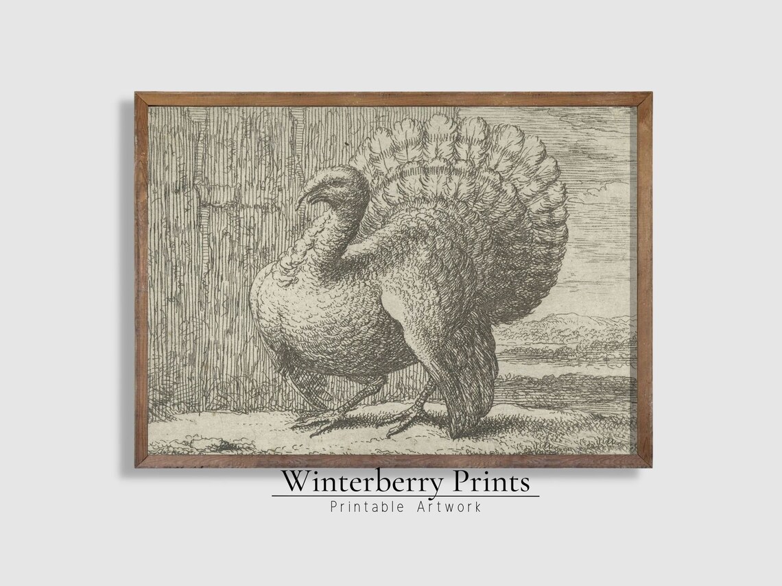 Vintage Thanksgiving Turkey Sketch Art Print