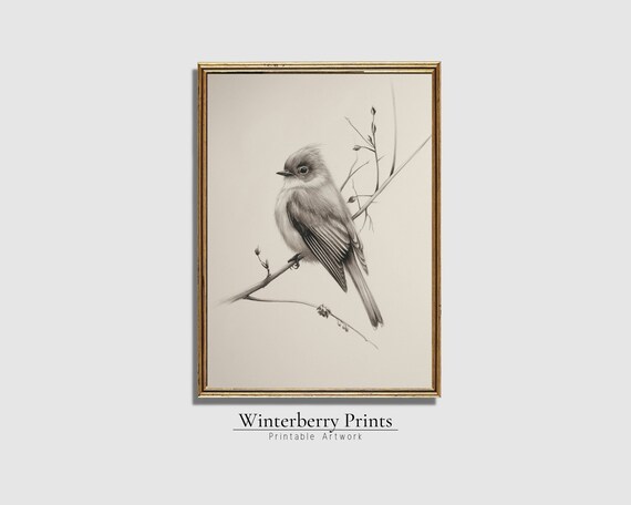 Antique Songbird Pencil Sketch Branch Sepia Vintage Farmhouse Wall Print