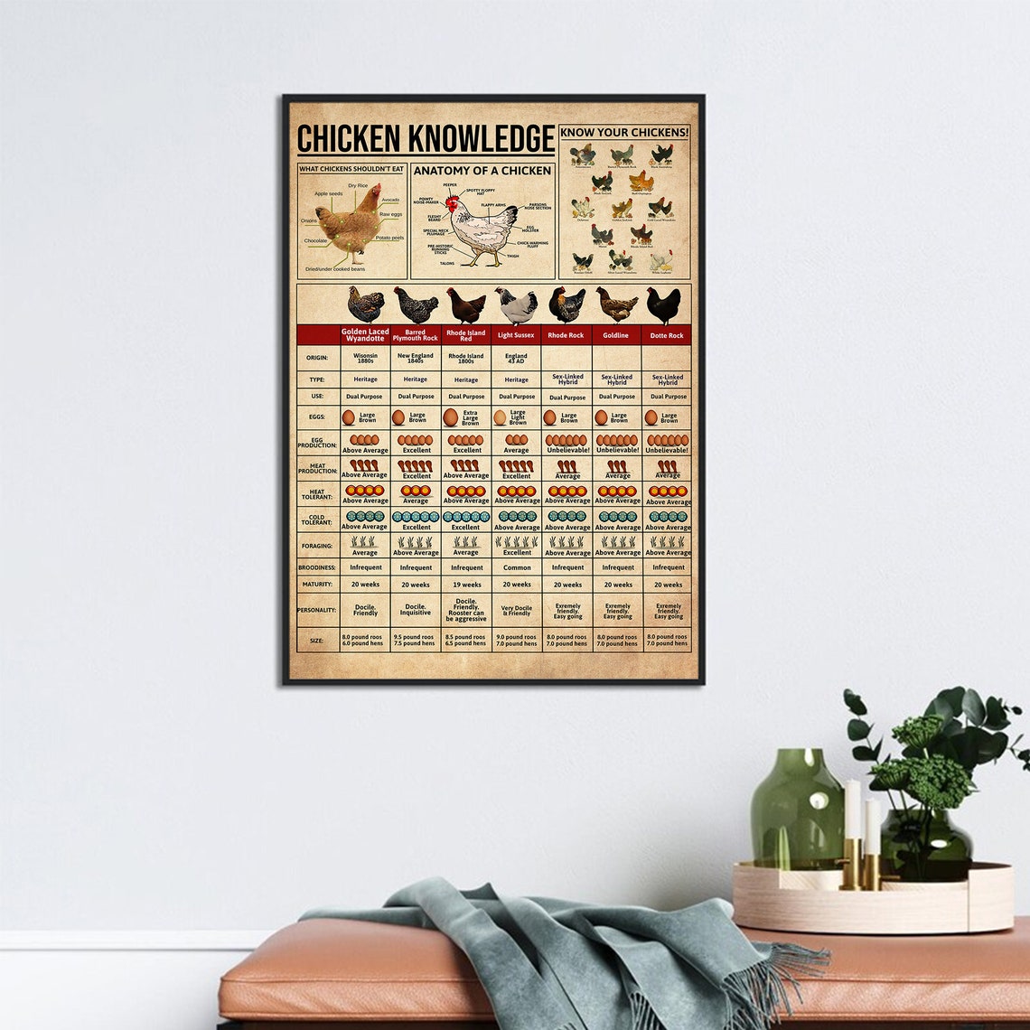 Chicken Knowledge Vintage Breeds Chart Anatomy Of A Chicken Poster - Image 3