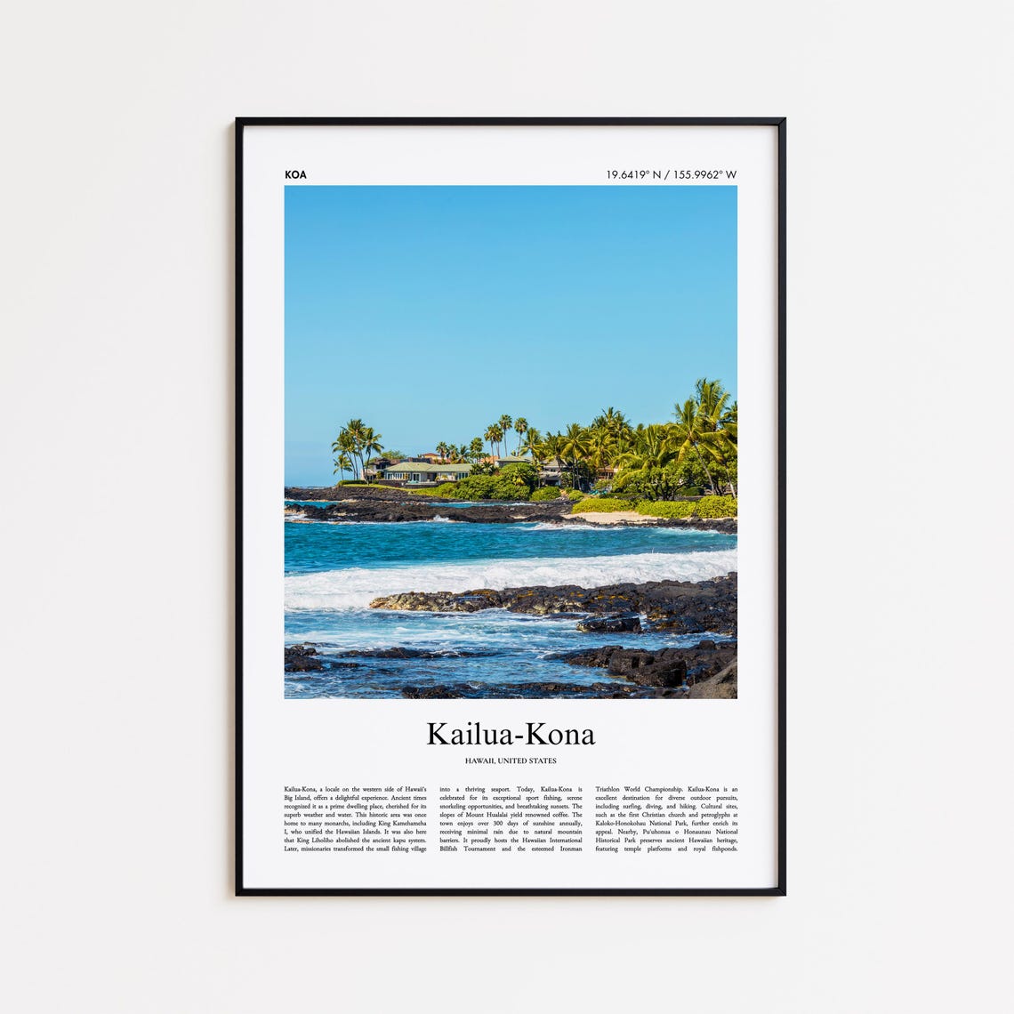 Kailua Kona Hawaii Rocky Palm Tree Ocean Coast Real Photo Poster