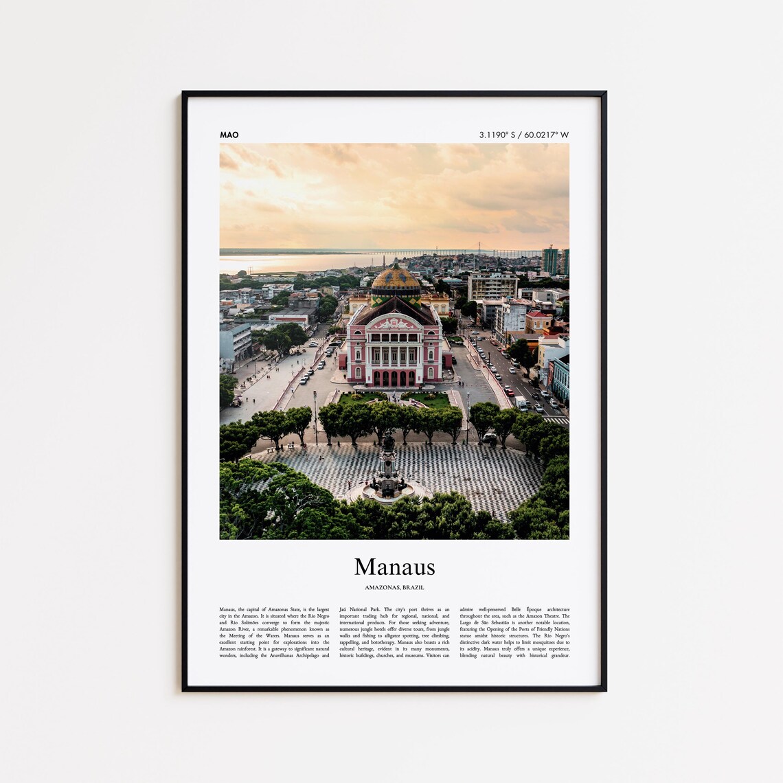 Manaus Brazil Historic Amazon Theatre Dome Aerial Photo Poster