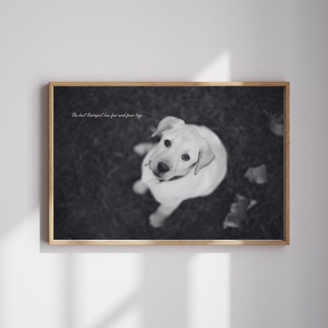 Black And White Puppy Photo Best Therapist Quote Dog Wall Art