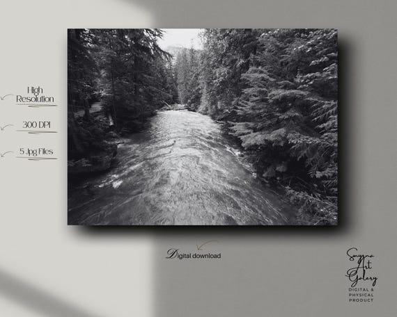 Black And White River Photo Moody Forest Landscape Art