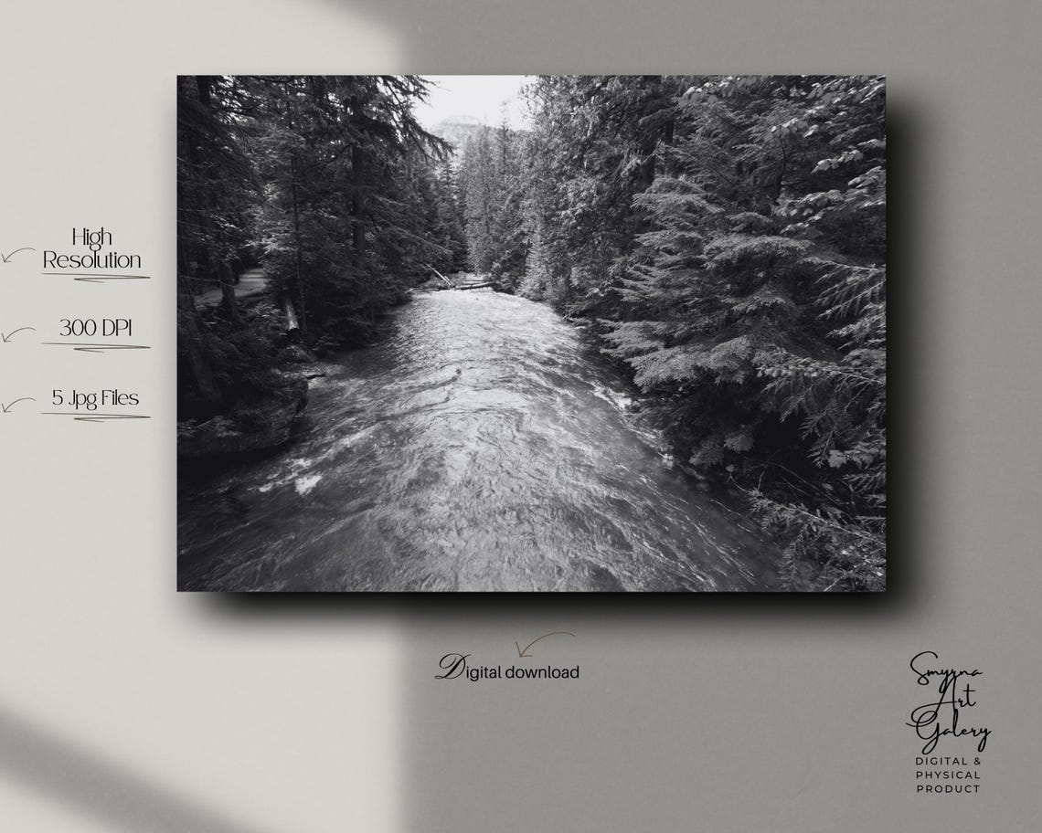 Moody Black and White Forest River Photography Landscape Poster