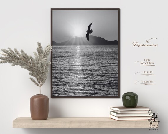 Seagull Silhouette Over Sunlit Ocean Monochrome Coastal Photography Poster
