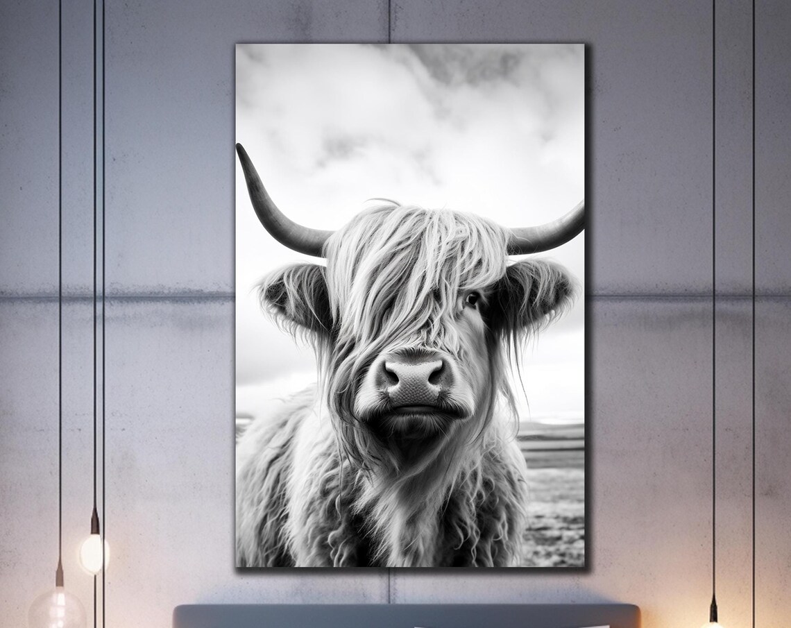 Scottish Highland Cow Black White Close Up Shaggy Portrait Poster