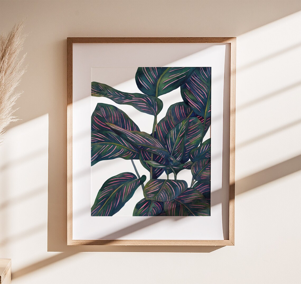 Calathea Ornata Pink Striped Leaves Watercolor Botanical Art Poster - Image 2
