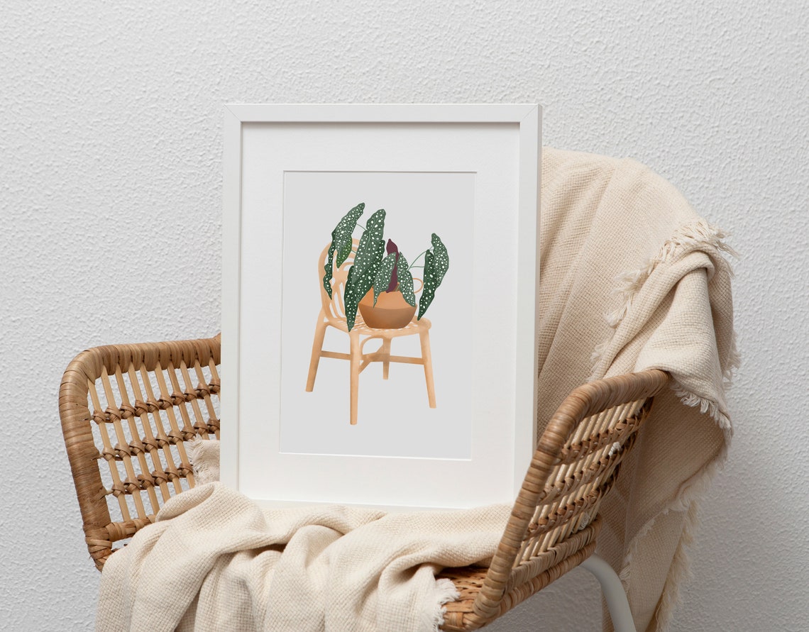 Spotted Begonia in a Terracotta Pot on a Rattan Chair Botanical Poster - Image 3