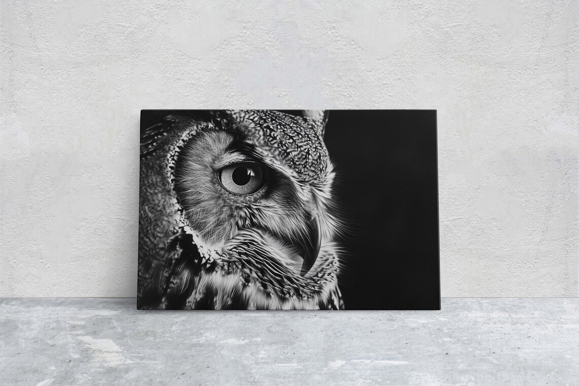 Black and White Owl Photography, Cabin Decor Art Print