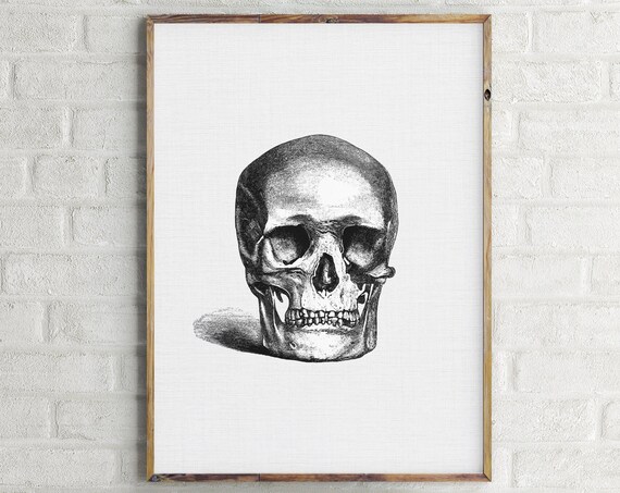 Vintage Skull Sketch Anatomy Art Detailed Black White Halloween Gothic Wall Poster