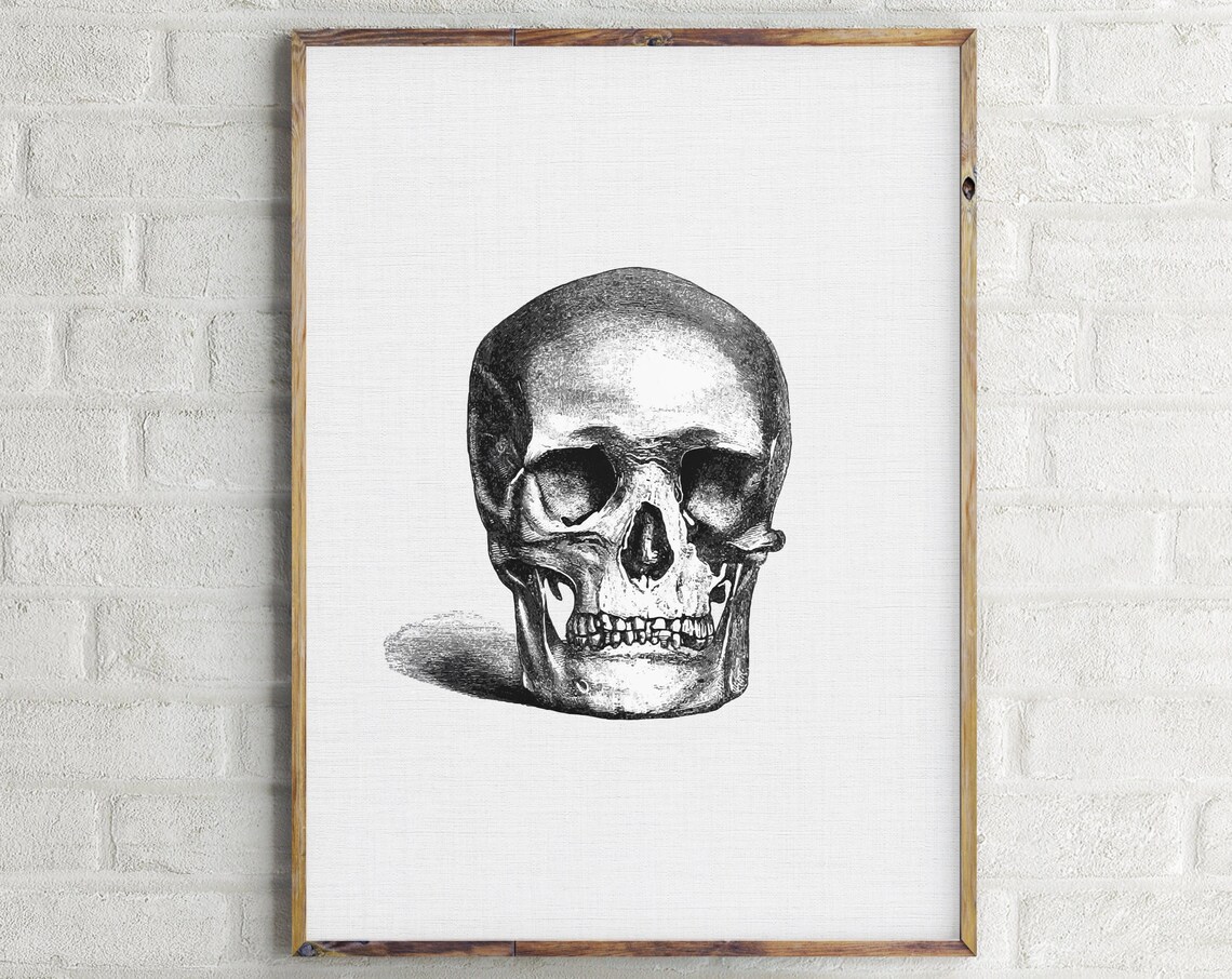 Vintage Skull Sketch Anatomy Art Detailed Black White Halloween Gothic Wall Poster