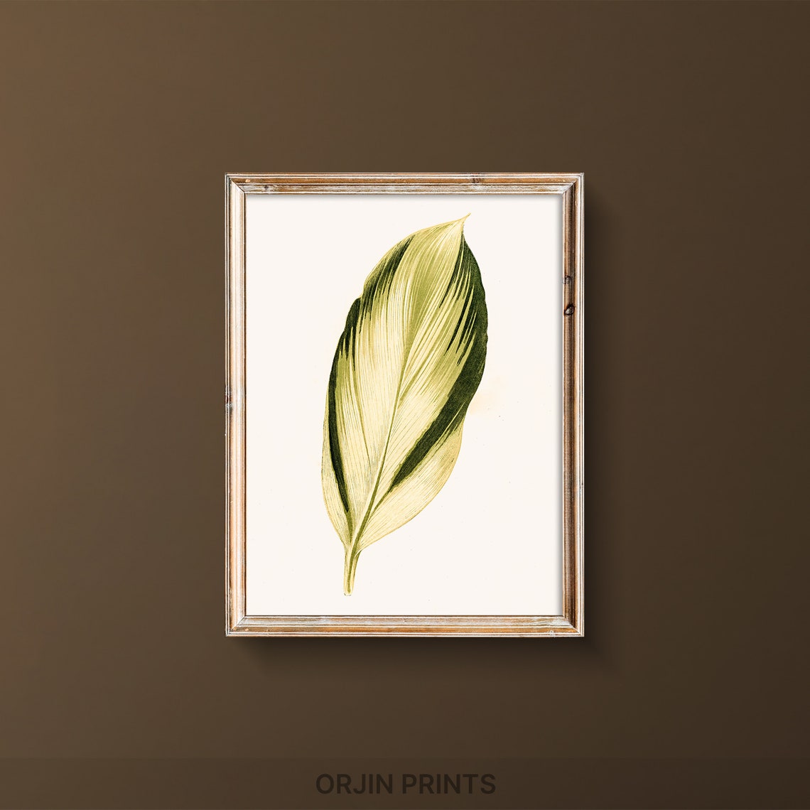 Elegant Variegated Leaf Vintage Botanical Illustration Art Poster