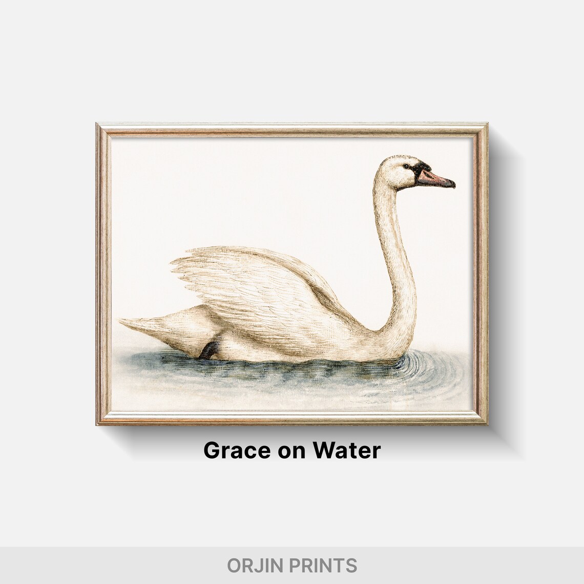 White Swan Minimalist Bird Illustration Vintage Animal Art Poster - Image 2