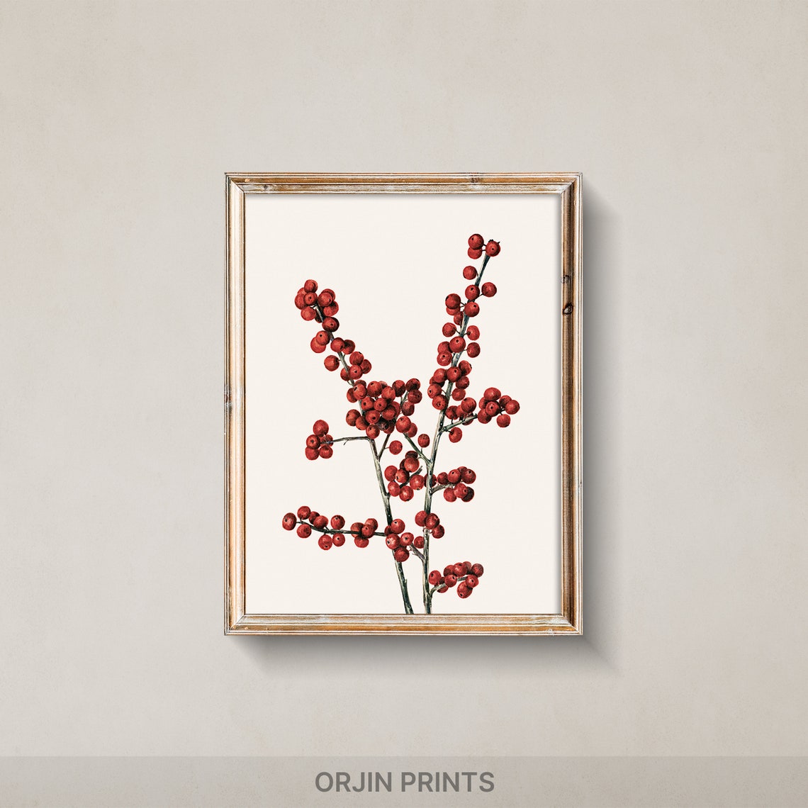 Red Berry Branch Botanical Illustration Vintage Winter Poster