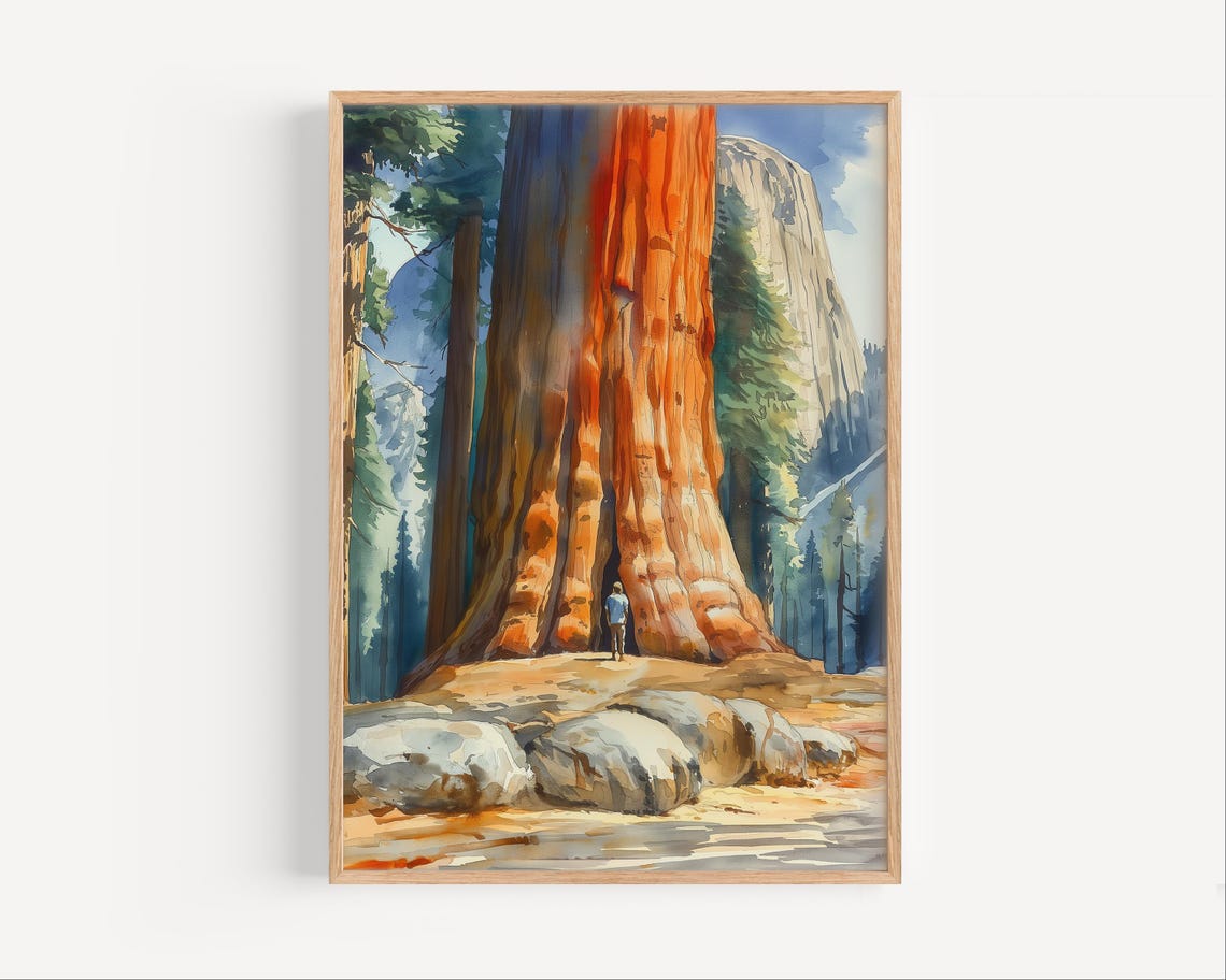 Giant Redwood Tree Watercolor Huge Forest Landscape Nature Poster