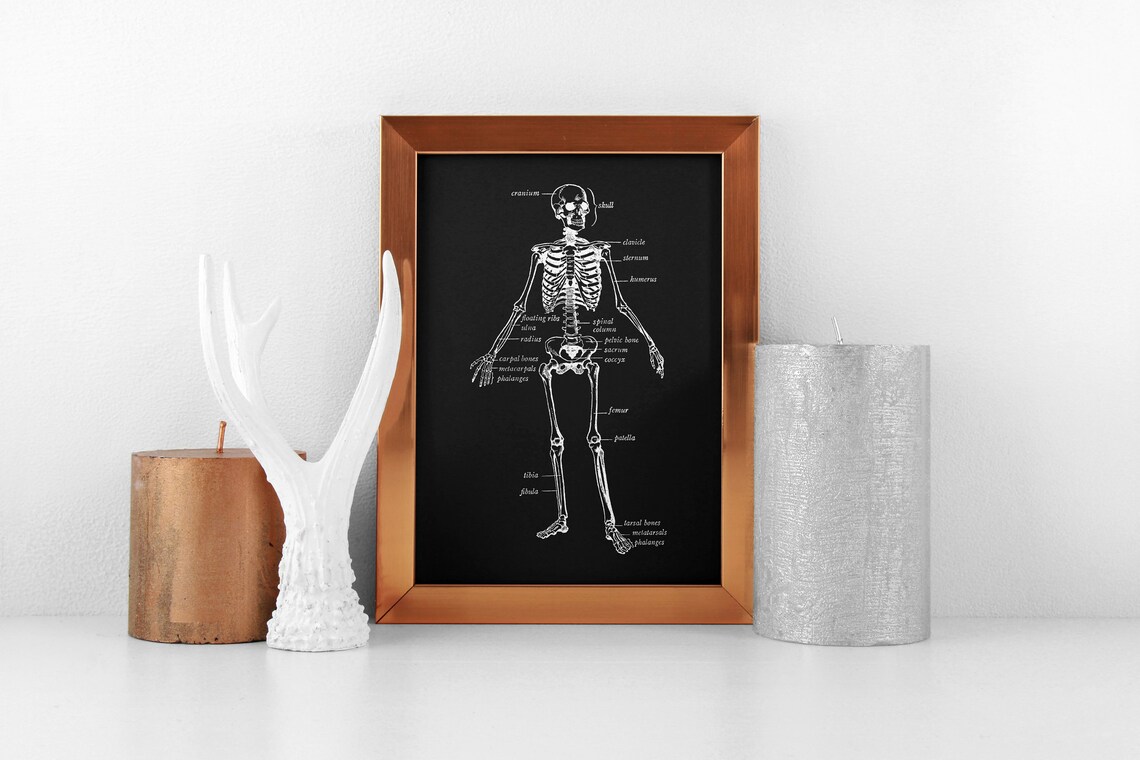 Human Skeleton Diagram, Retro Halloween Decor - Image 2