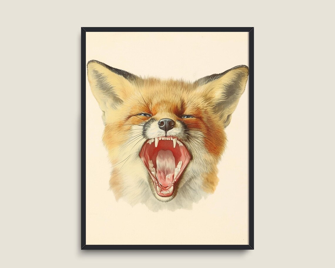 Yawning Red Fox With Open Mouth Vintage Wildlife Animal Art Print - Image 3