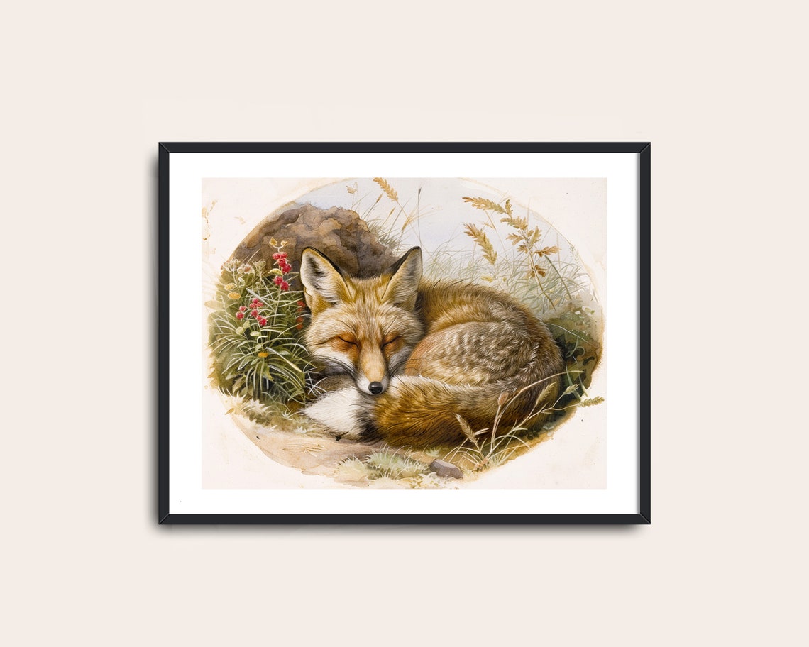 Sleeping Red Fox Curled in Grass Watercolor Wildlife Art Poster - Image 2