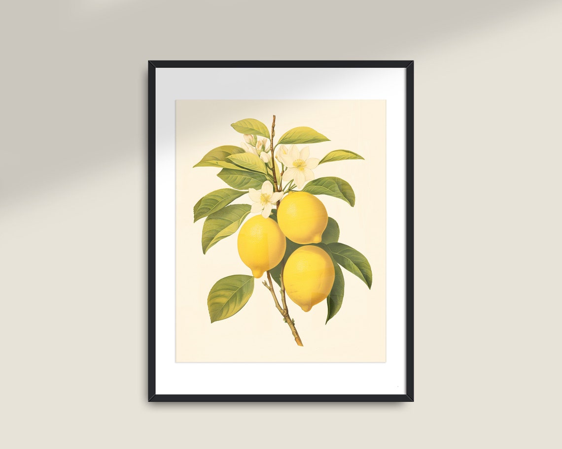 Lemon Branch Blossoms Vintage Botanical Kitchen Fruit Wall Art - Image 2