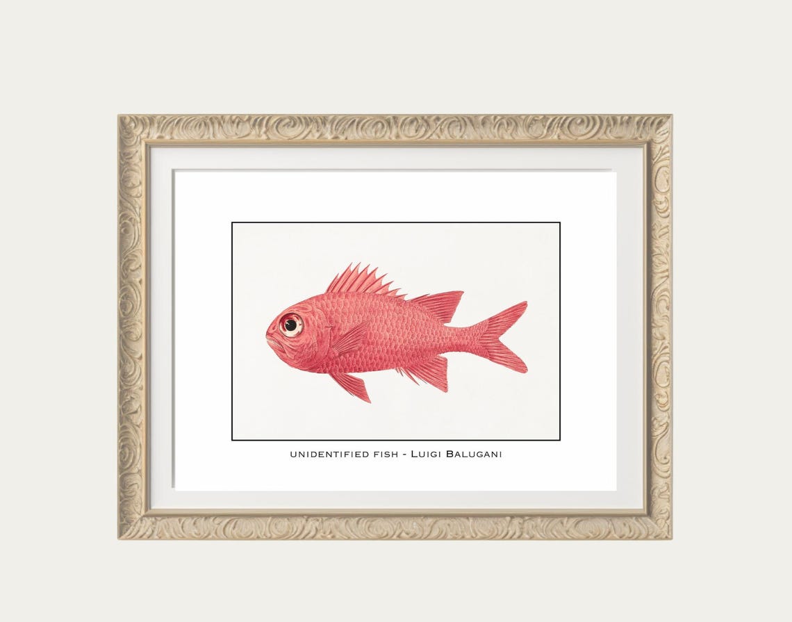 Fish Art, Vintage Fisherman Painting
