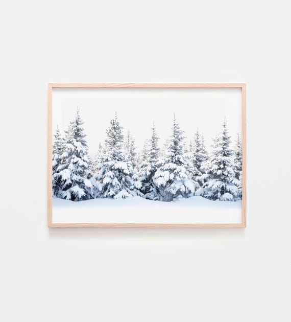 Winter Forest Photography Snowy Pine Print Landscape Poster