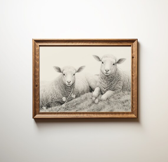 Gray Sheep Lambs Soft Drawing Resting in Grass Nursery Wall Art