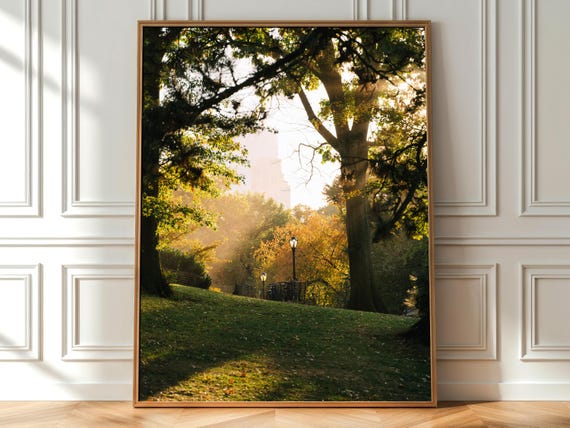 Central Park Autumn Photography Print Nyc Golden Hour Fine Art