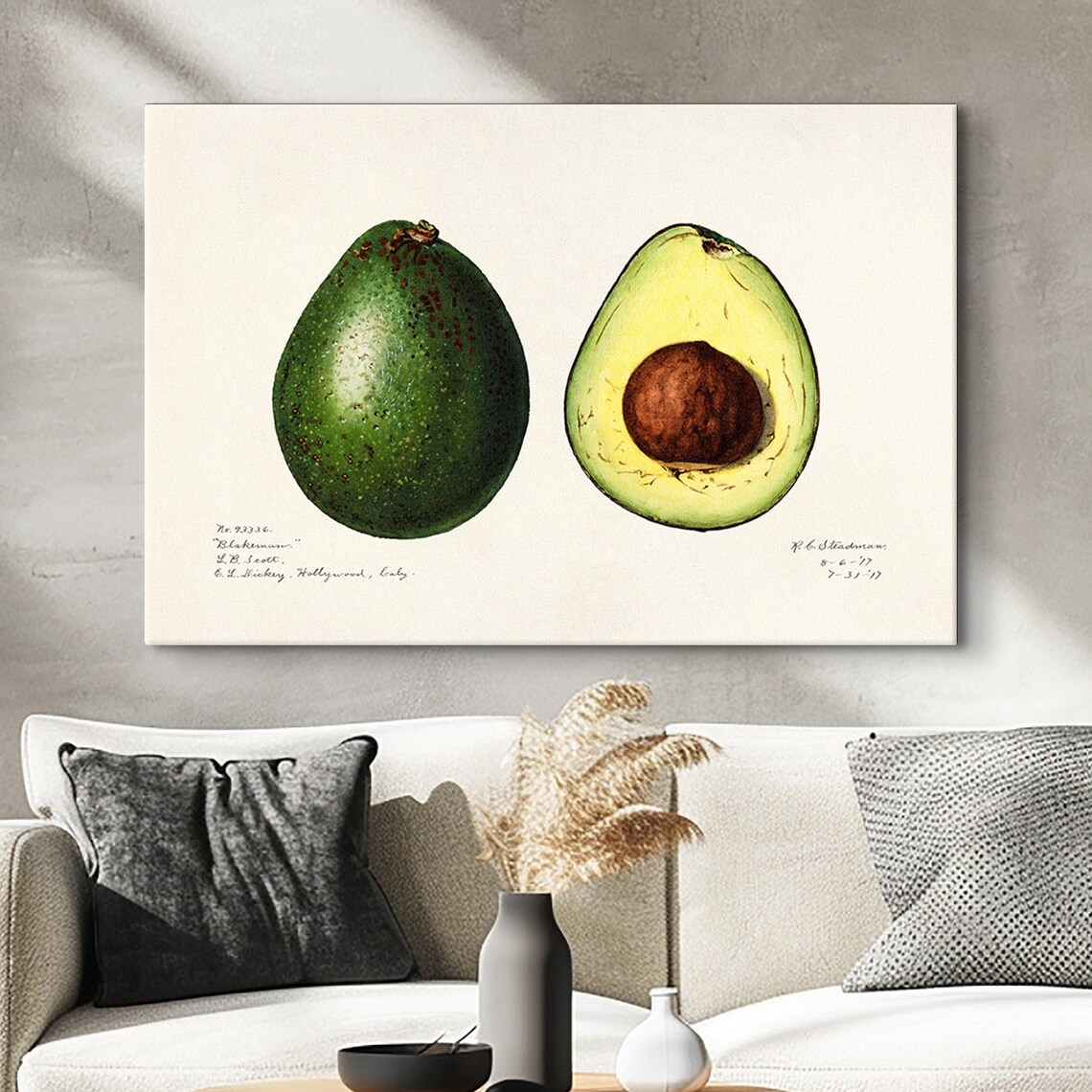 Charles Steadman Vintage Avocado Botanical Print