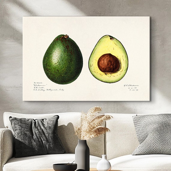 Charles Steadman Vintage Avocado Botanical Print