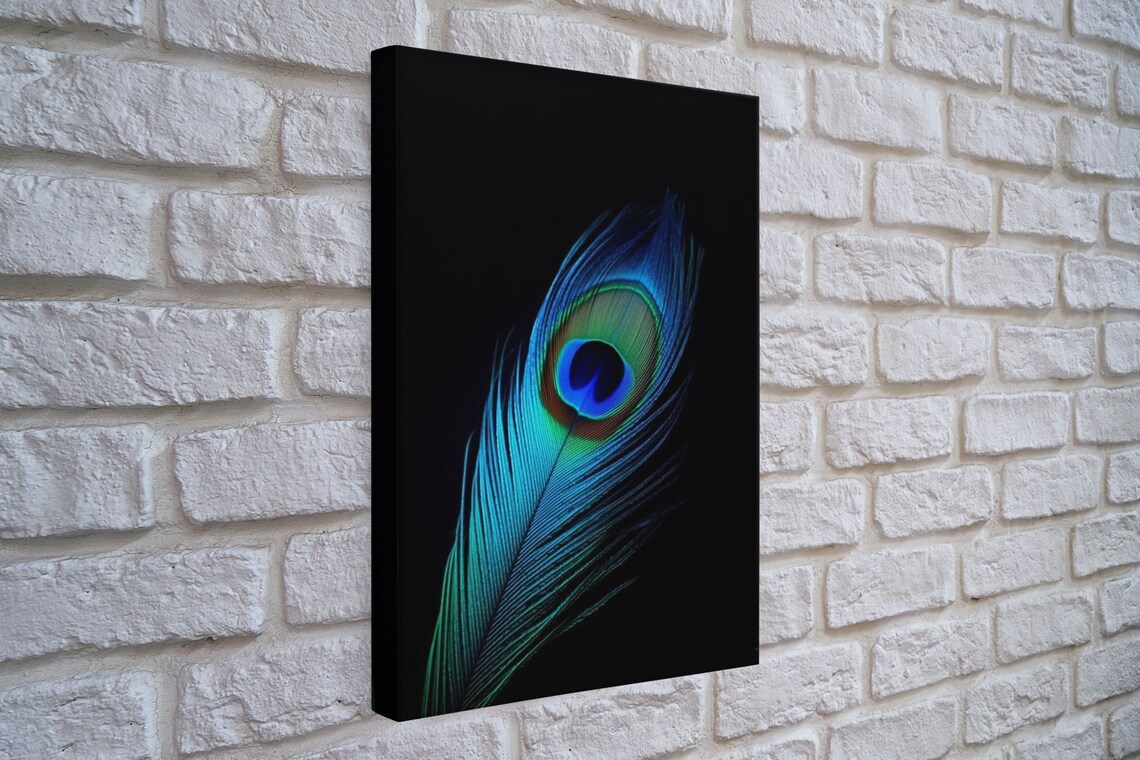 Lone Peacock Feather Art Print, Peacock Bird Study - Image 3