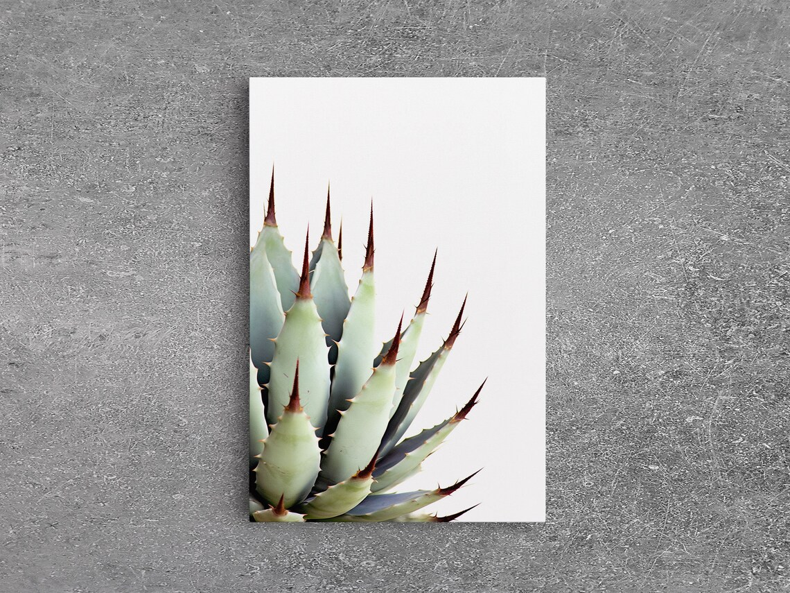 Desert Cactus Art Print, Modern Botanical Decor