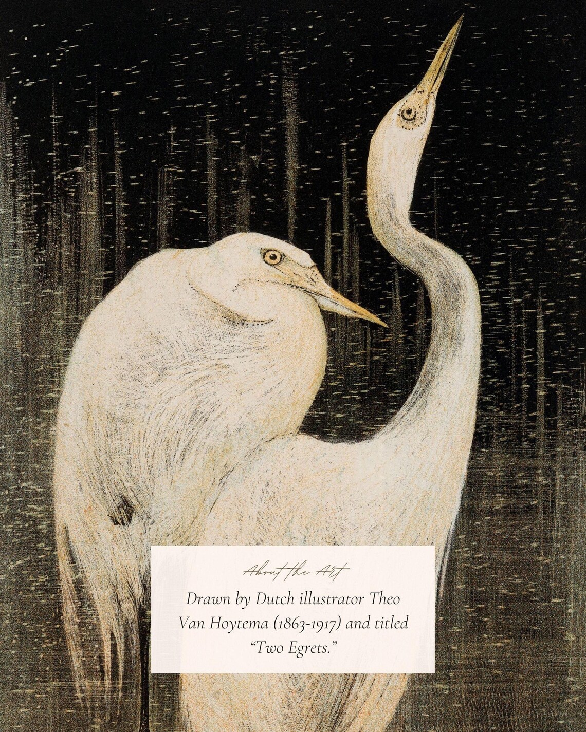 Two Egrets Antique Illustration, Dark Academia Art Print - Image 2