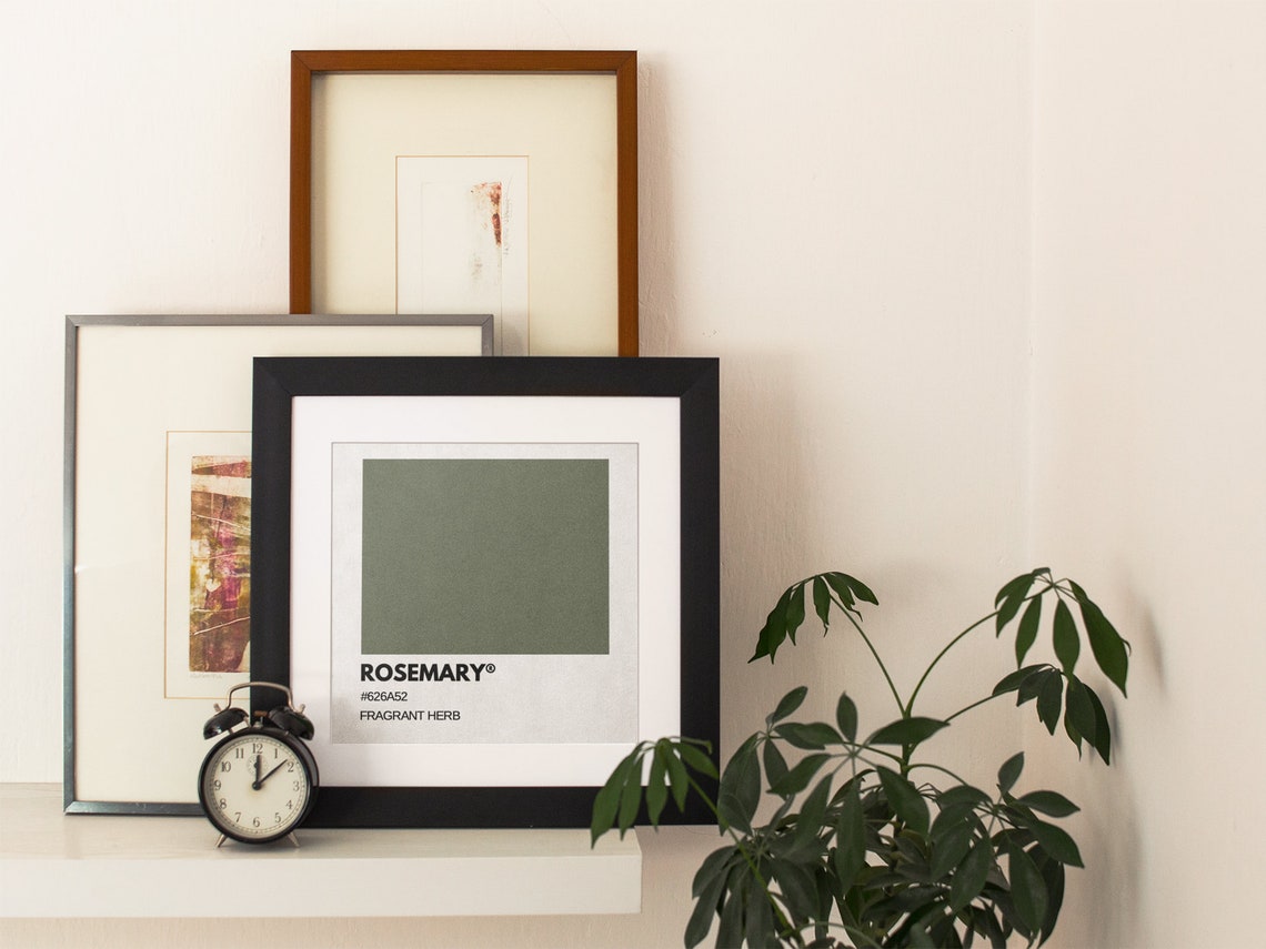 Rosemary Fragrant Herb Olive Green Pantone Style Color Swatch Poster - Image 2